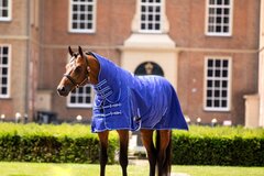 HB Ruitersport Collectie