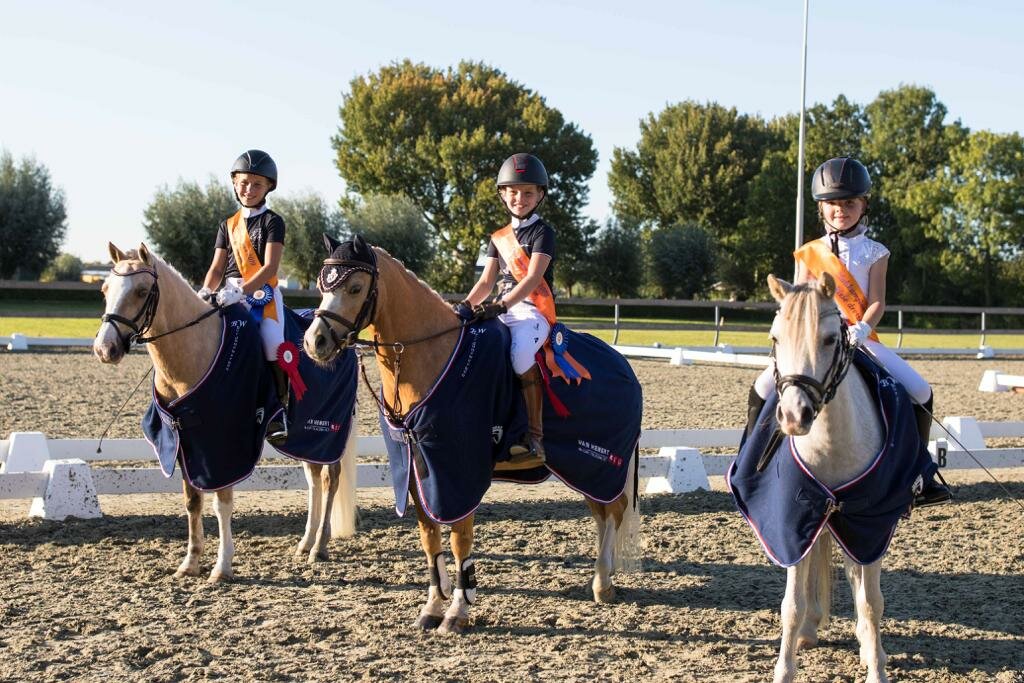 deken (fleece - winter- vliegen- diverse)