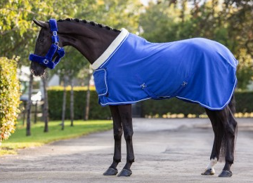  Dutch Crown Royalblue UITVERKOCHT 