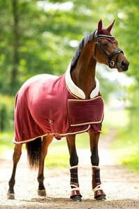 1330  HB Bordeaux Showtime deken maat 195   LAATSTE OP = OP 