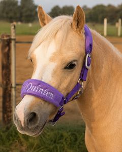 Bellwood Halster &ndash; Fleece gevoerd (optioneel met bijpassend halstertouw)