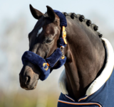 739 hb showtime Fluffy Halster blue moon_