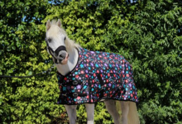 1424 outdoor deken fantasie