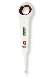Safehorse Thermometer