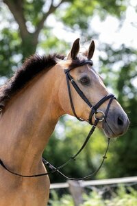 302 HB Hoofdstel Basic Zwart RVS