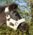 756 Mini Fluffy halster 