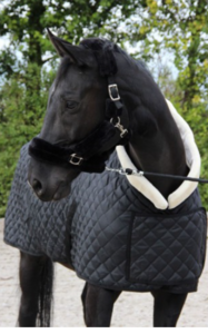 1321 Desir  showdeken zwart 