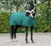 set Desir  showdeken mt 185 forest green en halster maat cob