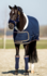 1335 HB showtime Blue Moon deken_12