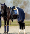 688 HB Showtime Blue Moon Zadeldek_12
