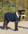 1337 HB Showtime Harry and Hector Dutch Crown little sizes_12