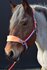 Halster Holland met naam en touw_12