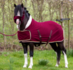  1337 A HB Showtime Harry and Hector Dutch Crown little sizes_12