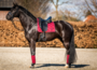 pony set bordeaux_12