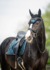 1346 HB Showtime glitter oornetjes met St logo_12