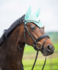 1346 HB Showtime glitter oornetjes met St logo_12