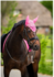 1346 HB Showtime glitter oornetjes met St logo_12