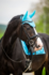 1346 HB Showtime glitter oornetjes met St logo_12