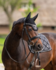 1346 HB Showtime glitter oornetjes met St logo_12