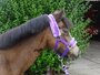 Nylon Halster met teddy gevoerd_12
