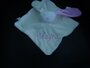 Baby combinatie pakket 1_12